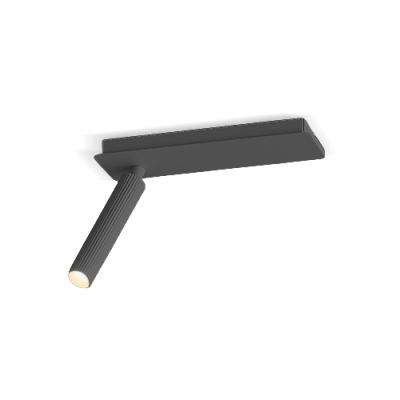 microgroove projetor