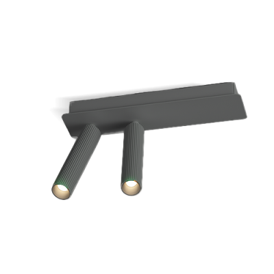 microgroove projetor